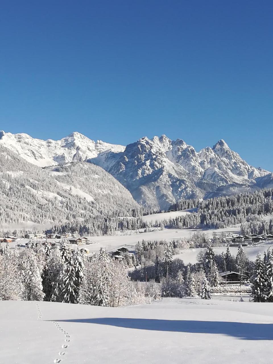 Haus Horngacher Fieberbrunn Kültér fotó